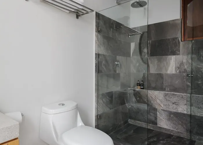 New! Historic Colonial Duplex In Downtown Apartment Mexico City
