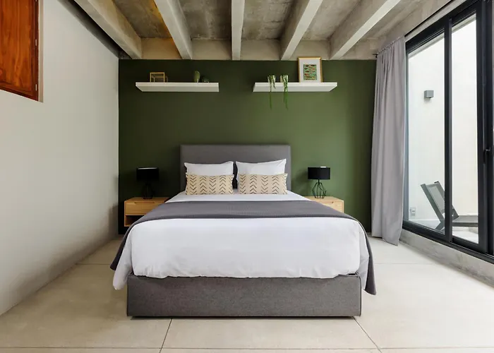 New! Historic Colonial Duplex In Downtown Apartment Mexico City