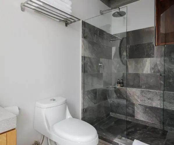 New! Historic Colonial Duplex In Downtown Mexico City