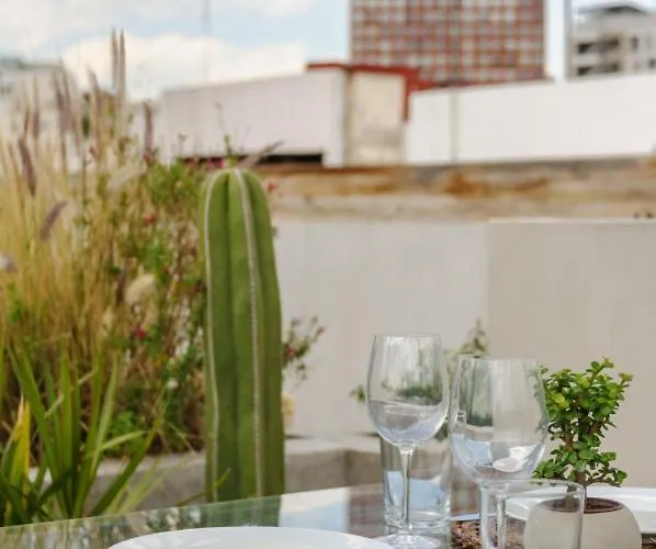 New! Historic Colonial Duplex In Downtown Apartment Mexico City